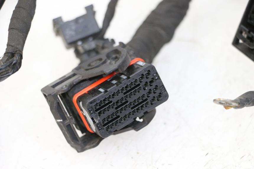 photo de CABLEADO BMW G310 R 310 (2016 - 2020) - Recambio usado revisado