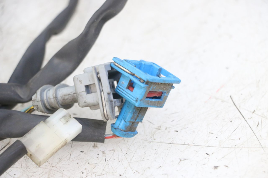 photo de CABLEADO PEUGEOT GEOPOLIS RS 125 (2007 - 2009) - Detalle de la pieza