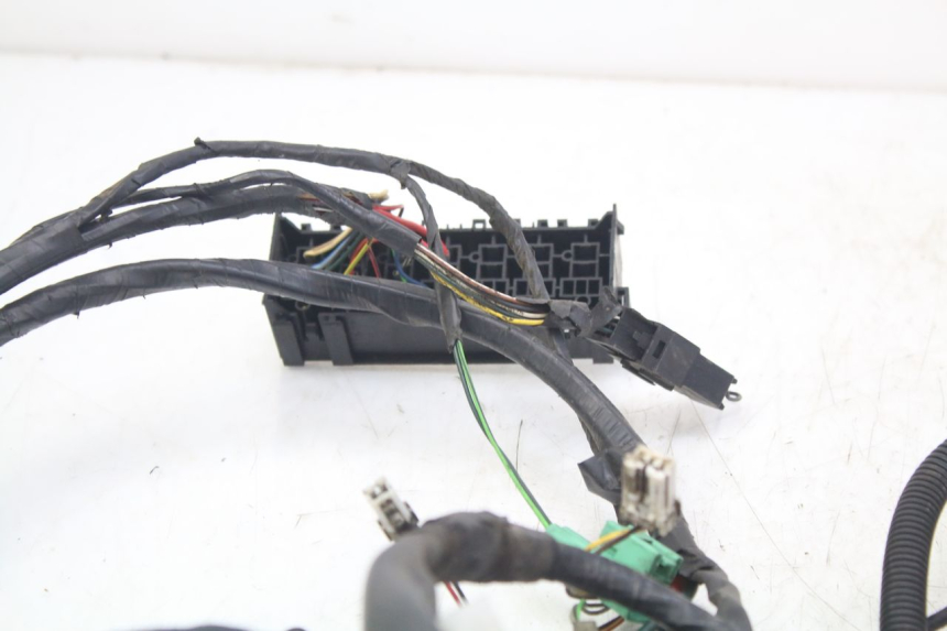 photo de CABLEADO PEUGEOT GEOPOLIS RS 125 (2007 - 2009) - Primer plano técnico