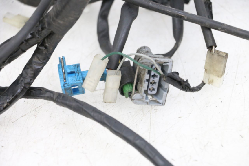 photo de CABLEADO PEUGEOT GEOPOLIS RS 125 (2007 - 2009) - Primer plano técnico