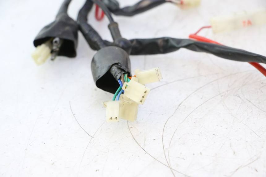 photo de CABLEADO VASTRO GP 2T 50 (2013 - 2017) - Características distintivas