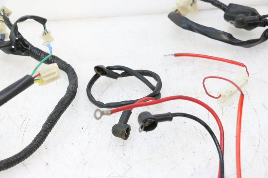photo de CABLEADO VASTRO GP 2T 50 (2013 - 2017) - Primer plano técnico