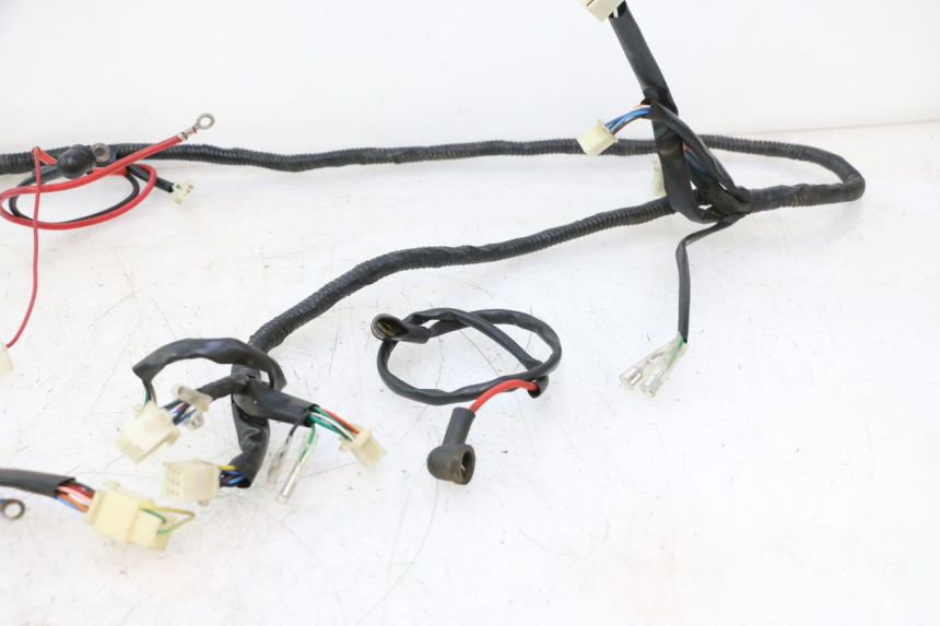 photo de CABLEADO VASTRO GP 2T 50 (2013 - 2017) - Marcados y referencias originales