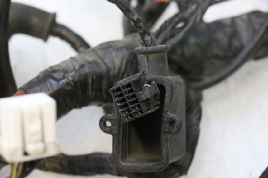 photo de CABLEADO GILERA GP 800 (2007 - 2013) - Zoom sobre los componentes