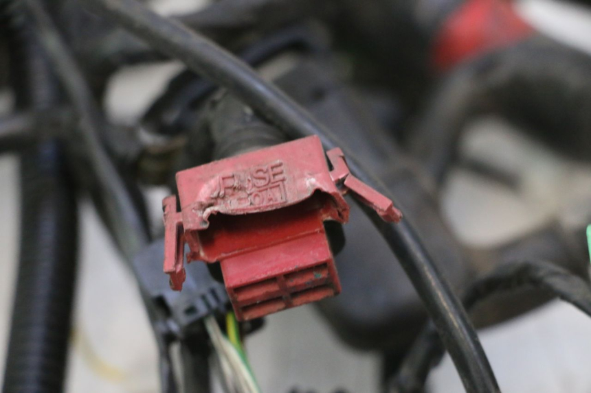 photo de CABLEADO GILERA GP 800 (2007 - 2013) - Inspección visual detallada