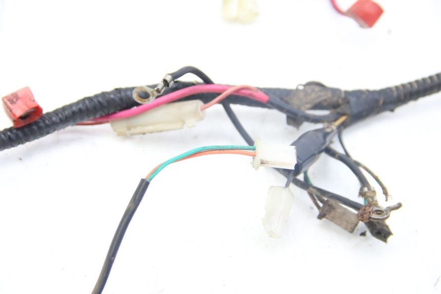 photo de CABLEADO TNT MOTOR GRIDO 2T 50 (2010 - 2019) - Otra perspectiva