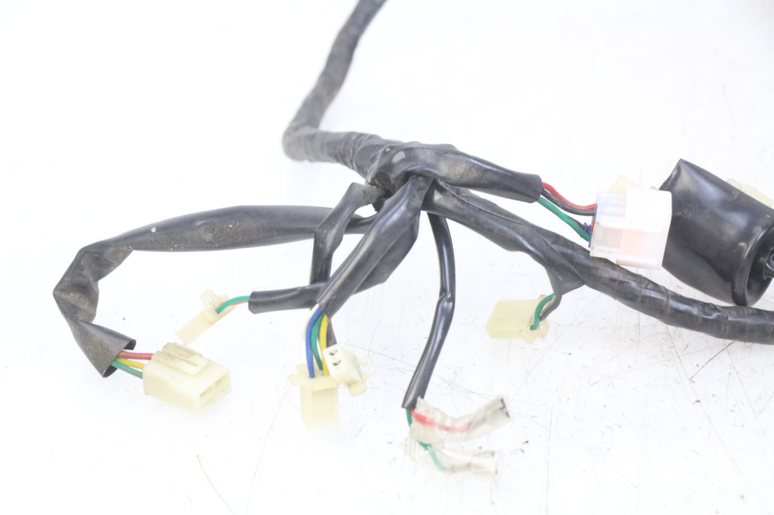 photo de CABLEADO EUROCKA GTR 50 (2007 - 2017) - Primer plano técnico