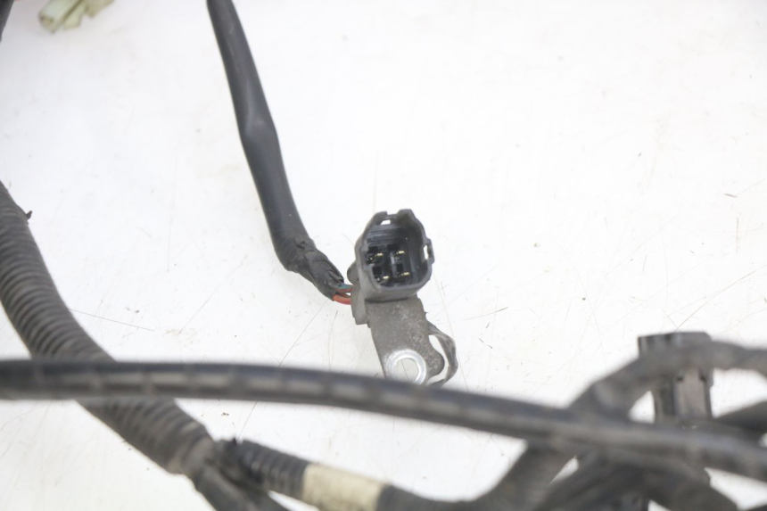 photo de CABLEADO SYM GTS EFI 125 (2012 - 2016) - Vista general del producto