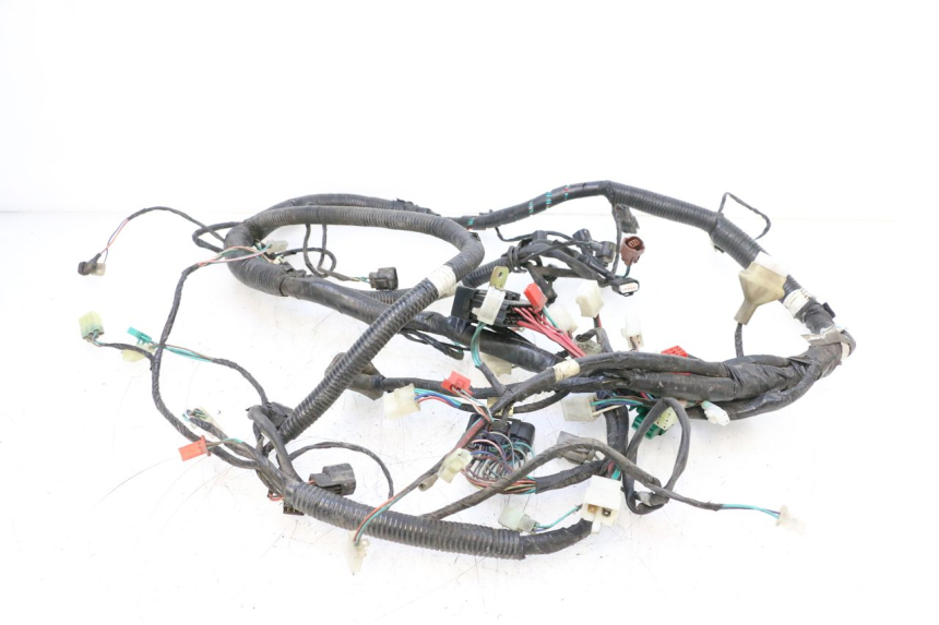 photo de CABLEADO SYM GTS EVO 125 (2009 - 2013) - Vista principal