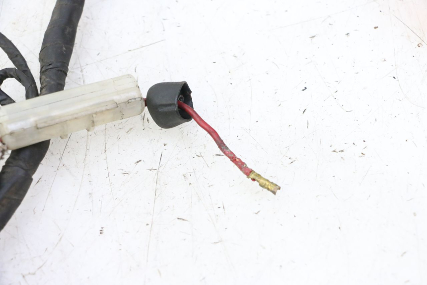 photo de ARNESES DAELIM HISTORY 125 (2001 - 2002) - Otra perspectiva