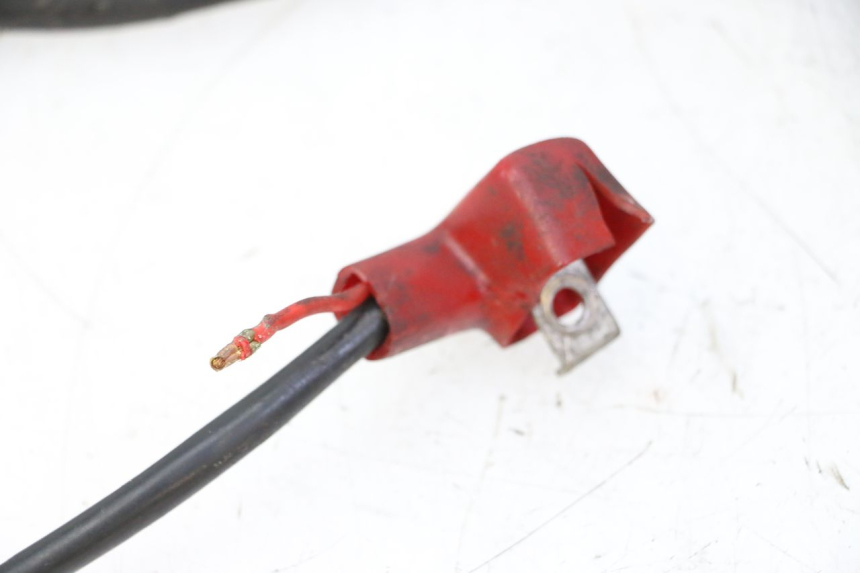 photo de ARNESES DAELIM HISTORY 125 (2001 - 2002) - Vista general del producto