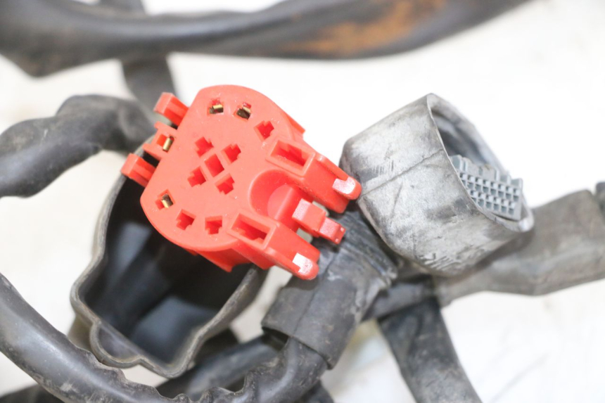 photo de CABLEADO PIAGGIO IE MP3 YOURBAN 300 (2011 - 2016) - Marcados y referencias originales