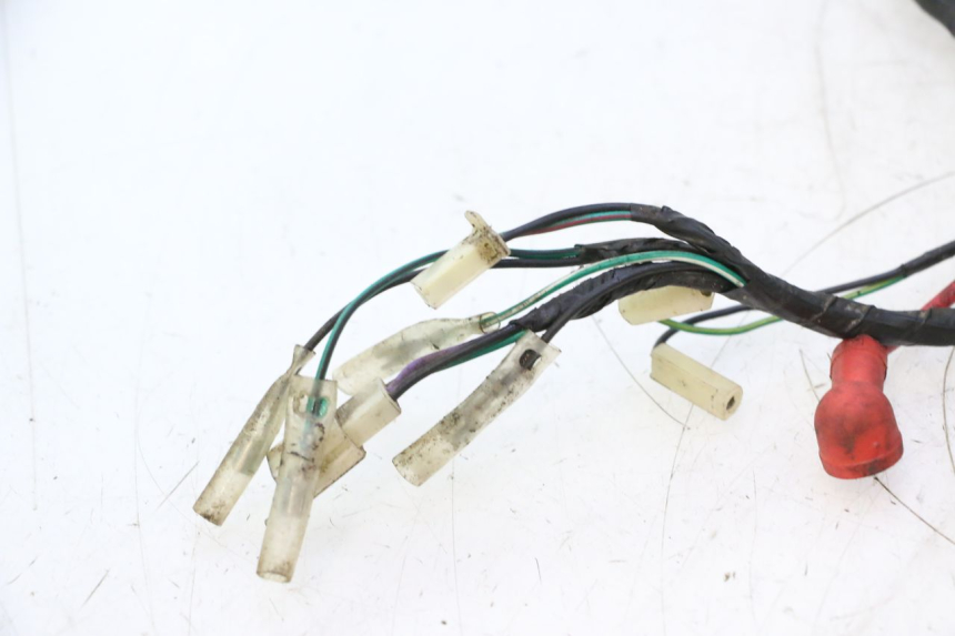 photo de CABLEADO RIDE JUMP 2T 50 (2012 - 2017) - Características distintivas