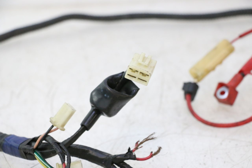 photo de CABLEADO RIDE JUMP 2T 50 (2012 - 2017) - Recambio usado revisado