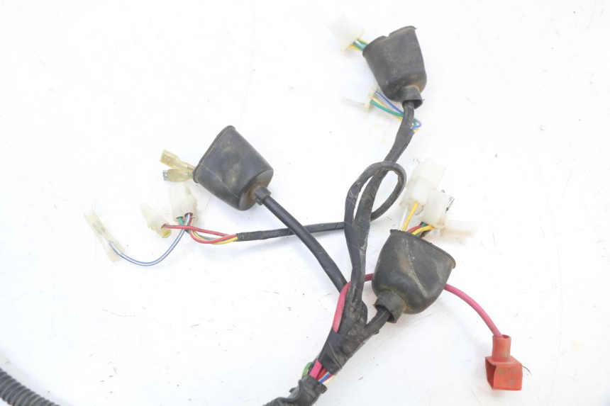 photo de CABLEADO ORCAL KITE 4T 50 (2019 - 2023) - Vista general del producto