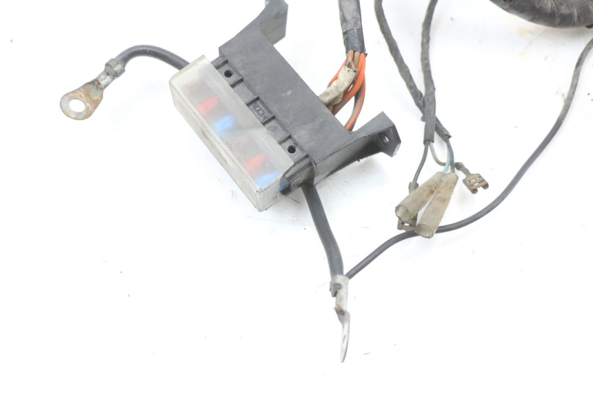 photo de CABLEADO RENAULT KOURANOS 125 (2001 - 2004) - Primer plano técnico