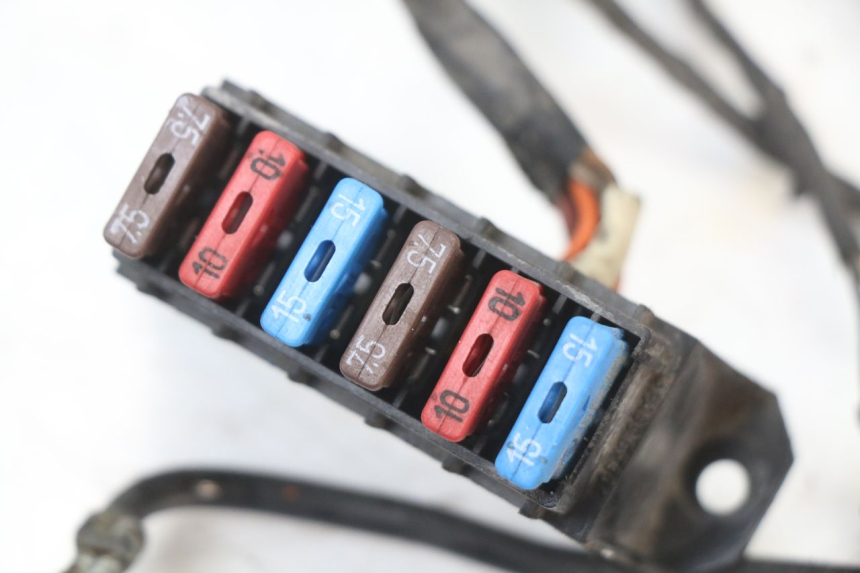 photo de CABLEADO RENAULT KOURANOS 125 (2001 - 2004) - Vista general del producto