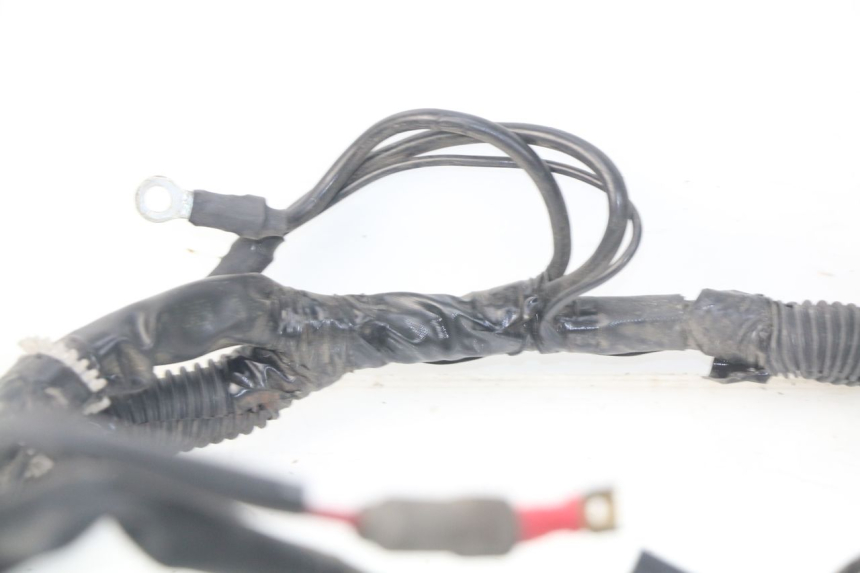 photo de CABLEADO PIAGGIO LIBERTY IGET 4T 50 (2015 - 2020) - Marcados y referencias originales