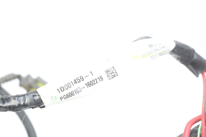 photo de CABLEADO PIAGGIO LIBERTY IGET 4T 50 (2015 - 2020) - Vista general del producto