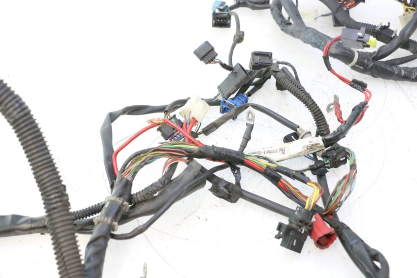 photo de CABLEADO PIAGGIO LIBERTY IGET 4T 50 (2021 - 2025) - Enfoque en la estructura