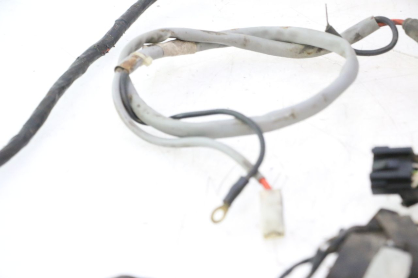 photo de CABLEADO PIAGGIO LIBERTY 50 (1998 - 2003) - Características distintivas