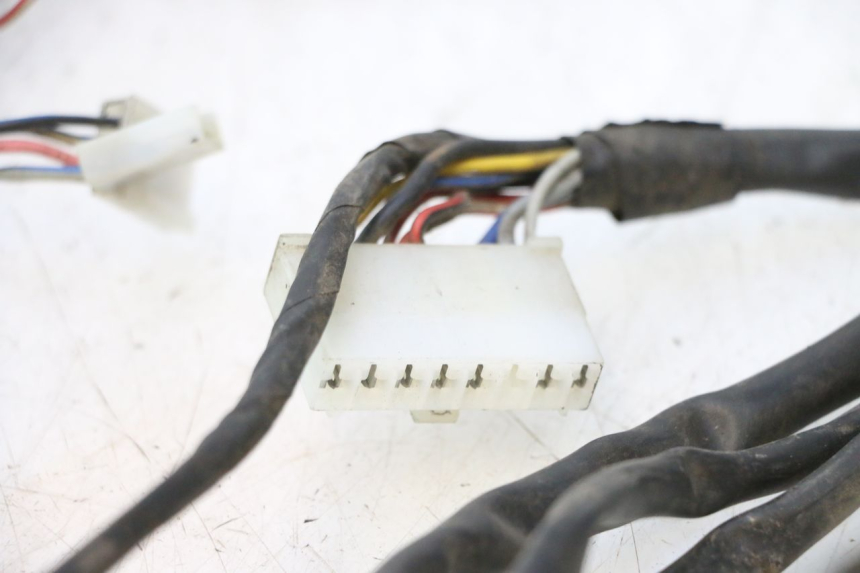 photo de CABLEADO PIAGGIO LIBERTY 50 (1998 - 2003) - Enfoque en la estructura