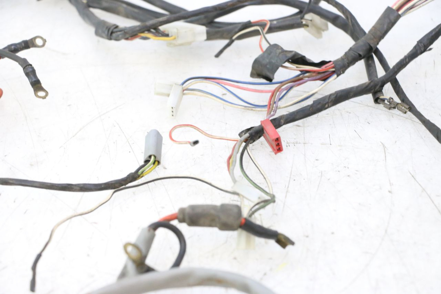 photo de CABLEADO PIAGGIO LIBERTY 50 (1998 - 2003) - Recambio usado revisado