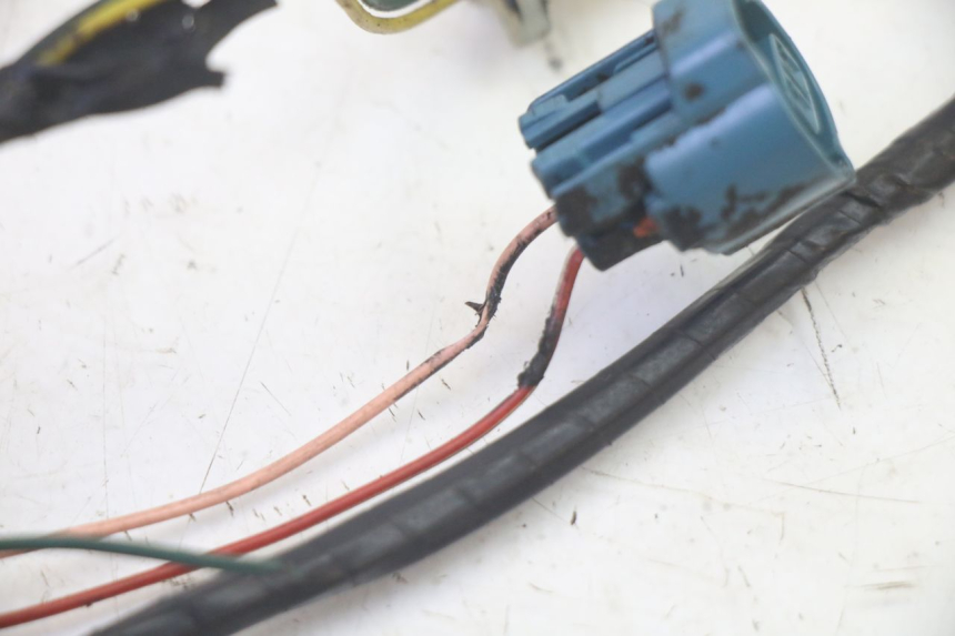 photo de CABLEADO PEUGEOT LUDIX 50 (2008 - 2017) - Primer plano técnico