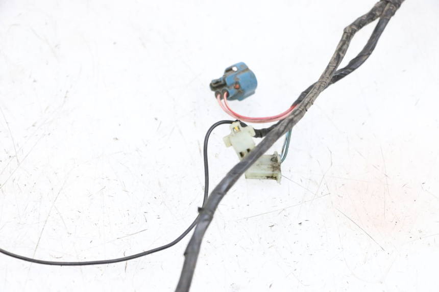 photo de CABLEADO PEUGEOT LUDIX 50 (2005 - 2007) - Características distintivas