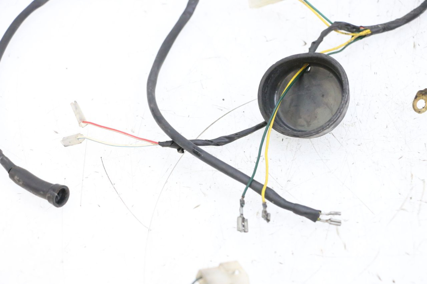 photo de CABLEADO PEUGEOT LUDIX 50 (2005 - 2007) - Primer plano de alta resolución