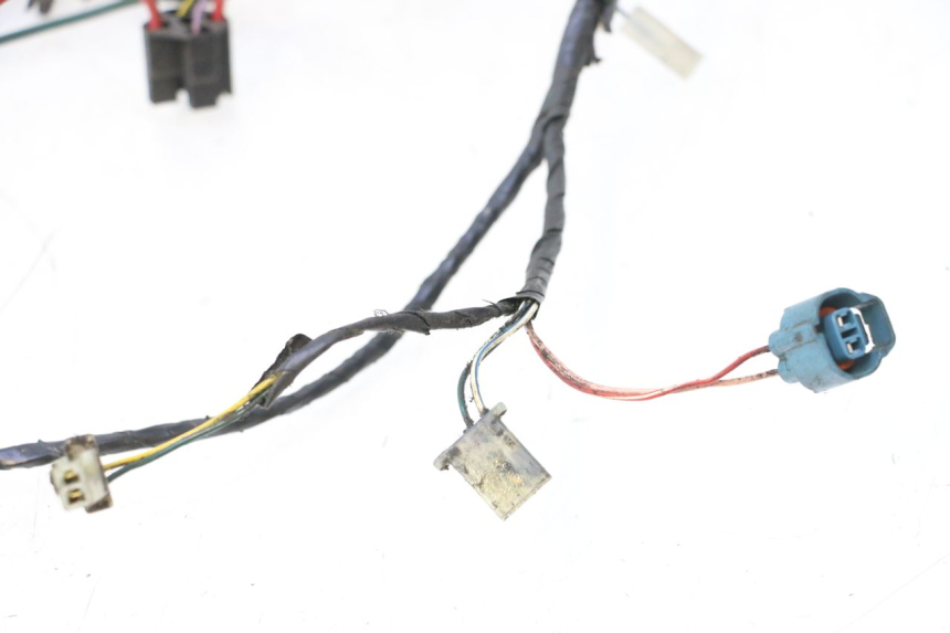 photo de CABLEADO PEUGEOT LUDIX 50 (2008 - 2017) - Zoom sobre los componentes