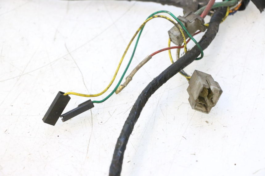 photo de CABLEADO PEUGEOT LUDIX 50 (2005 - 2007) - Zoom sobre los componentes