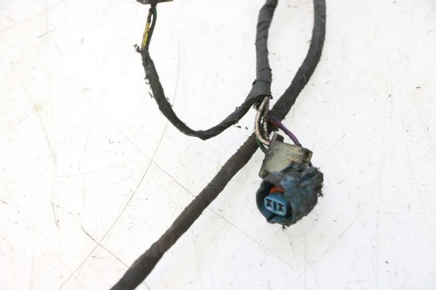 photo de CABLEADO PEUGEOT LUDIX 50 (2005 - 2007) - Primer plano de alta resolución