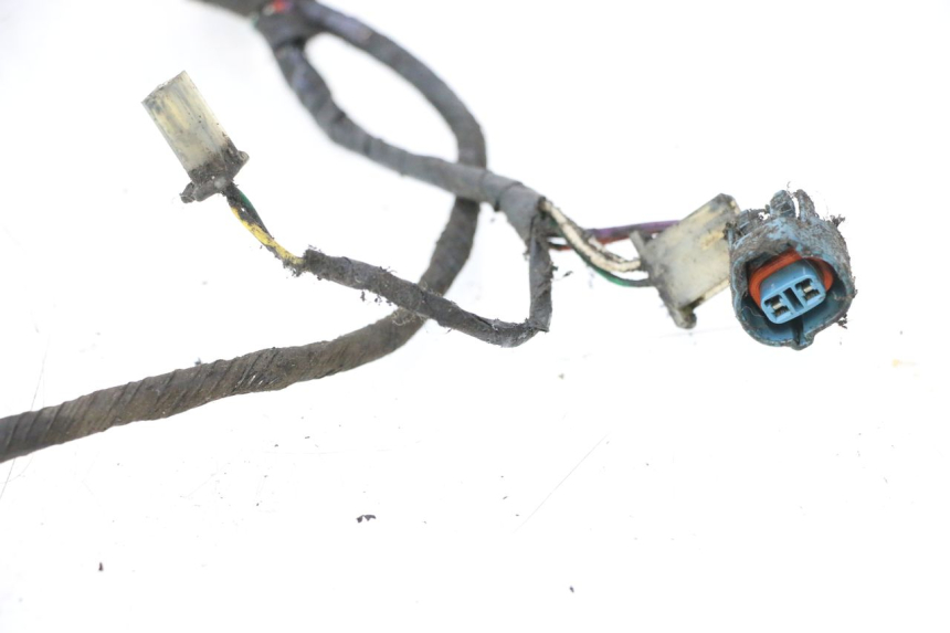 photo de CABLEADO PEUGEOT LUDIX 50 (2005 - 2007) - Perfil de la pieza de repuesto