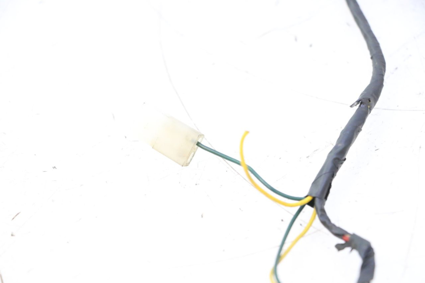 photo de CABLEADO PEUGEOT LUDIX ONE 14P 50 (2004 - 2013) - Recambio usado revisado