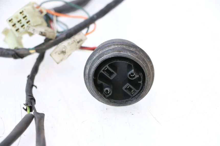 photo de CABLEADO PEUGEOT LUDIX ONE 50 (2004 - 2013) - Primer plano de alta resolución