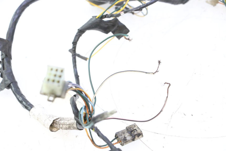 photo de CABLEADO PEUGEOT LUDIX ONE 50 (2004 - 2013) - Zoom sobre los componentes