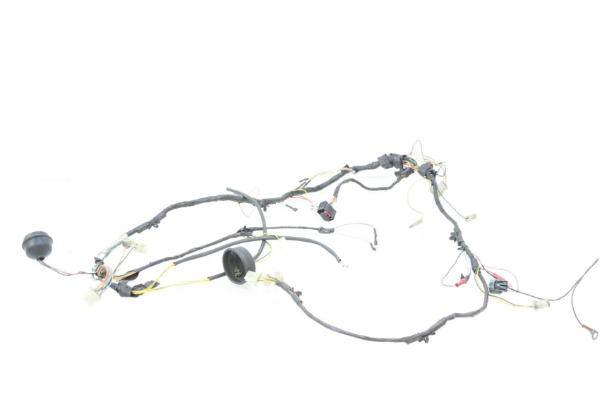 photo de CABLEADO PEUGEOT LUDIX ONE 50 (2004 - 2006) - Inspección visual detallada