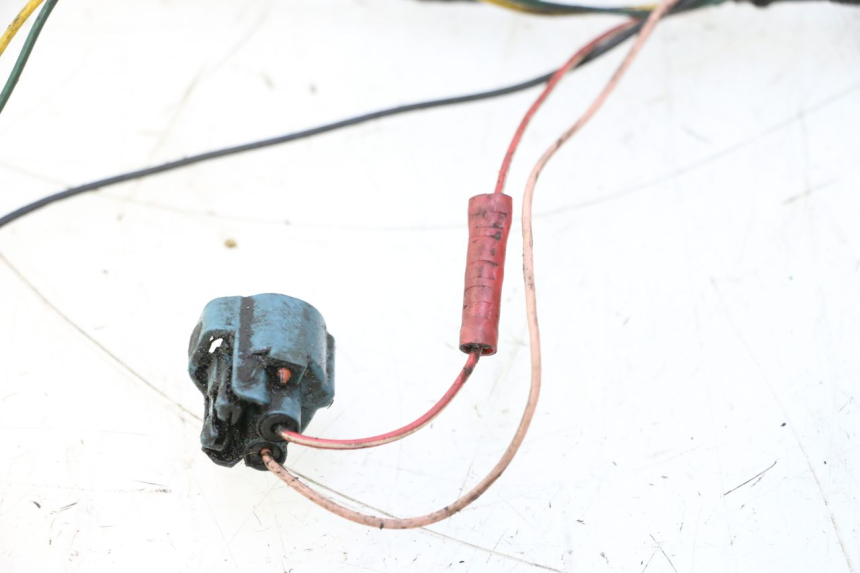 photo de CABLEADO PEUGEOT LUDIX ONE 50 (2004 - 2006) - Primer plano técnico