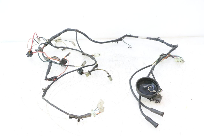 photo de CABLEADO PEUGEOT LUDIX PRO 2T 50 (2010 - 2017) - Vista principal