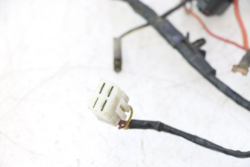 photo de CABLEADO PEUGEOT LUDIX PRO 2T 50 (2010 - 2017) - Inspección visual detallada
