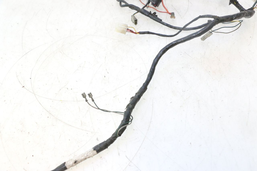photo de CABLEADO PEUGEOT LUDIX PRO 2T 50 (2010 - 2017) - Enfoque en la estructura