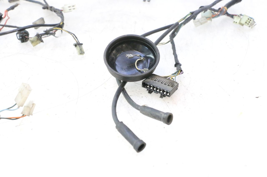 photo de CABLEADO PEUGEOT LUDIX PRO 2T 50 (2010 - 2017) - Detalle de la pieza