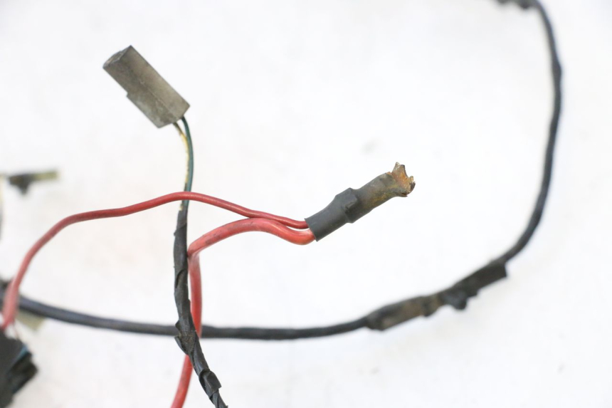 photo de CABLEADO PEUGEOT LUDIX PRO 2T 50 (2010 - 2017) - Primer plano técnico