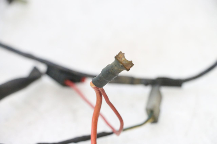 photo de CABLEADO PEUGEOT LUDIX PRO 2T 50 (2010 - 2017) - Detalles de los puntos de fijación