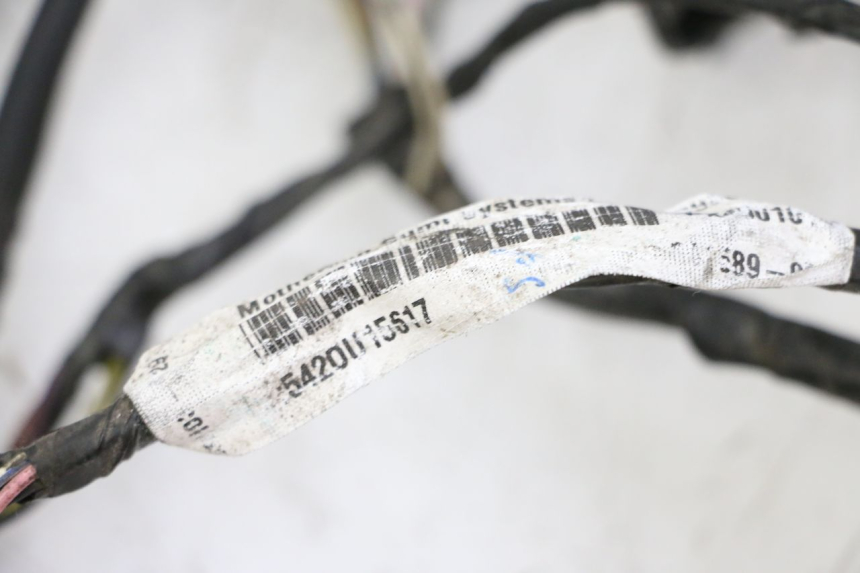 photo de CABLEADO PIAGGIO LXV 4T 50 (2009 - 2013) - Recambio usado revisado