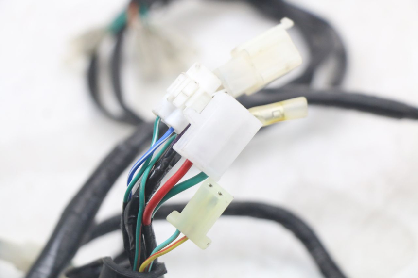 photo de CABLEADO MASAI SCRAMBLER SPORT 125 (2021 - 2025) - Zoom sobre los componentes