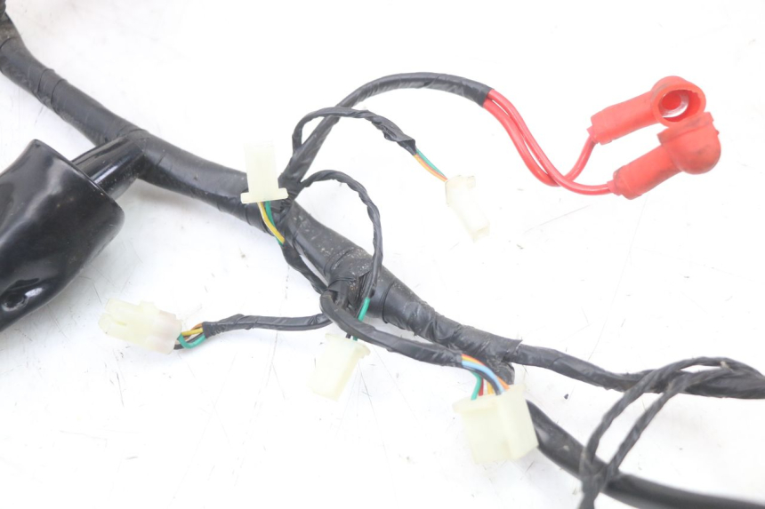 photo de CABLEADO MASH LEGEND'R 4T 50 (2021 - 2025) - Zoom sobre los componentes