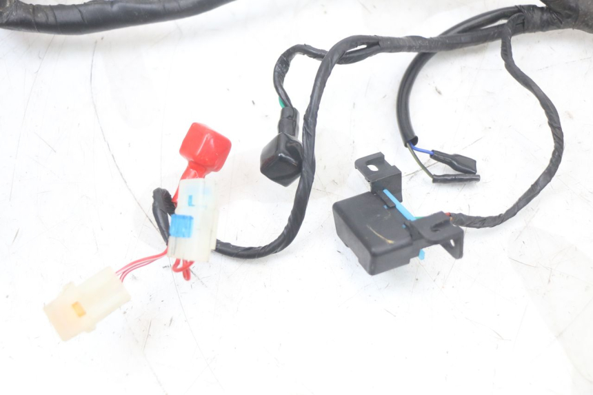 photo de CABLEADO MASH LEGEND'R 4T 50 (2021 - 2025) - Estado de la superficie y material