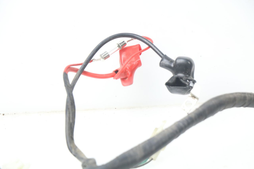 photo de CABLEADO JM MOTORS MIA 50 (2017 - 2020) - Vista general del producto